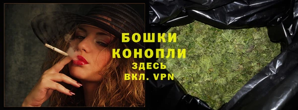 соль ск Кулебаки