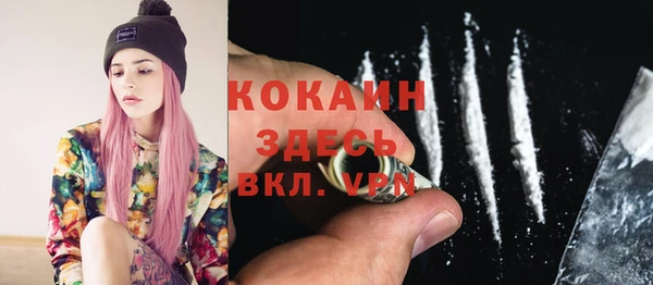 соль ск Кулебаки