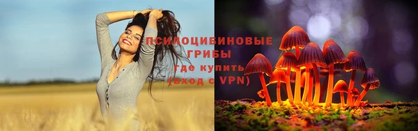 соль ск Кулебаки