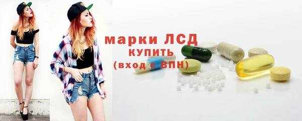 соль ск Кулебаки