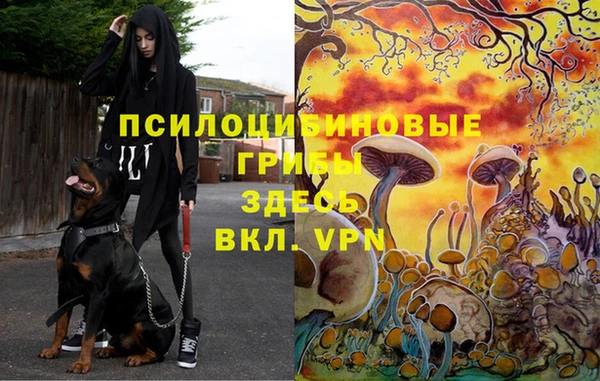 ALPHA-PVP Кукмор