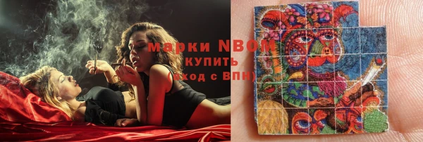 соль ск Кулебаки