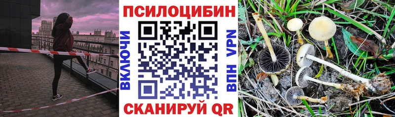 kraken ссылки Юрьевец Галлюциногенные грибы Cubensis